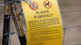 Colorado public health officials confirm new case of human plague