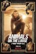 Animals on the Loose: A You vs. Wild Movie