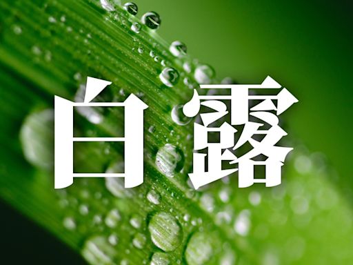 24節氣白露：習俗、禁忌、諺語、養生重點一次看