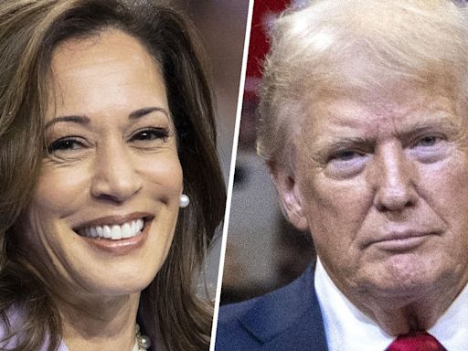 'He has shrunk': Kamala Harris finds antidote to Donald Trump's negativity