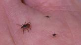 Steuben County Public Health Advises precautions against tick-borne diseases