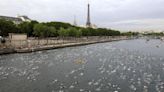 Parisians to protest Olympic Games by defecating in the Seine