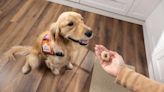 Lanza Dunkin’ Donuts donas para perros y apoya a hospitales infantiles