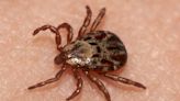Take steps to prevent tick bites and disease transmission