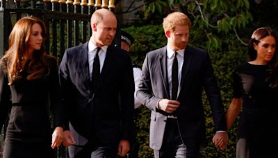 Princess Diana's prediction of Prince Harry and William's rift comes true