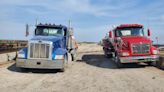 Heat killed hundreds of cattle at Kansas feedlot. Firefighters stepped in to save others