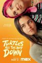 Turtles all the way down (película)