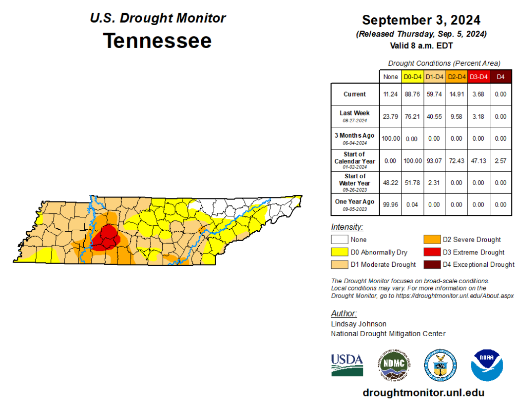 How Tropical Storm Francine could impact Tennessee weather: Wind, rain, lessening drought?