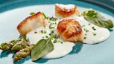 Sea Scallops Are The Ideal Variety For Searing