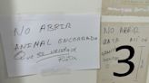 Las ratas y las cucarachas "invaden" el área de descanso de los médicos de un hospital de Málaga