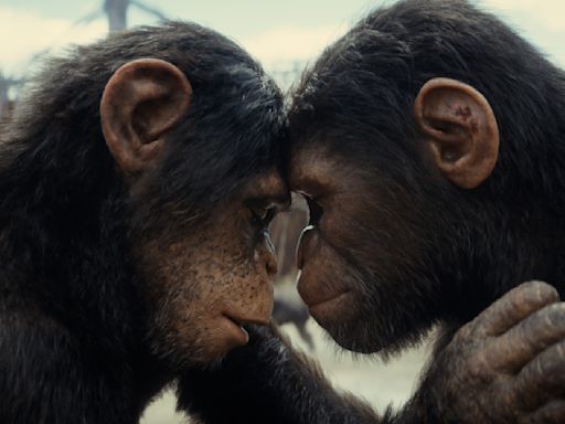 The ‘Kingdom of the Planet of the Apes’ Cast Can’t Stop Greeting Each Other as Primates: ‘That Is Never Going to Go Away’