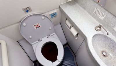 Before You Set Foot Inside Another Airplane Bathroom... Read This