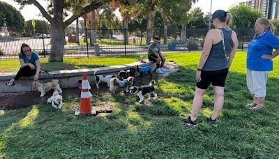 Record heat in Phoenix area: Outdoor workers stay hydrated, say heat is 'not for the weak'