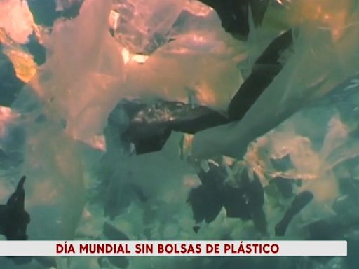 Día Internacional Libre de Bolsas Plástico: quedan en la naturaleza más de 50 años y muchas acaban en nuestro organismo
