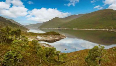 WATCH: Remote Highland estate in Glen Cannich goes on sale - with offers starting at £2m