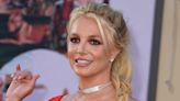 Britney Spears admits spending £1600 on shorts and suspenders for her dog