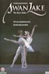 Swan Lake: The Kirov Ballet