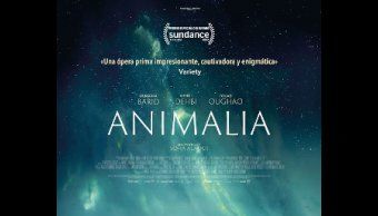 Película: "Animalia"