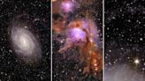 Euclid's First Science Photos Show 16 Million Cosmic Objects in Dazzling New Light