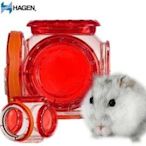 【🐱🐶培菓寵物48H出貨🐰🐹】赫根HAGEN》寵物鼠誕生系列6面通接管 特價128元
