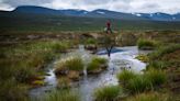 Arctic ocean may absorb less CO2 than projected due to coastal erosion