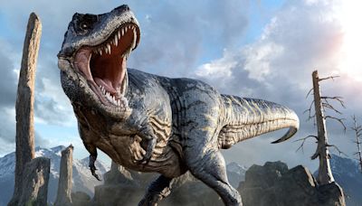 T. Rex was 49ft long and weighed 15 TONNES - 70% heavier than thought