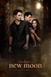 Twilight, chapitre II : Tentation