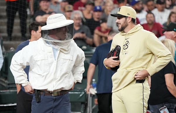 The Beekeeper Who Saved a Major League Baseball Game