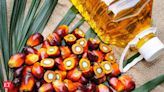 India June palm oil imports rise about 3% MoM - The Economic Times
