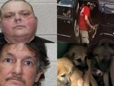 2 arrested for tossing puppies out of a car, abandoning them at Georgia church