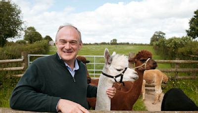 'Rural communities feel let down by the Tories': Lib Dem leader visits Shropshire alpaca farm in latest campaign antics