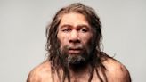 Identificaron restos de tres virus en neandertales - Diario Hoy En la noticia