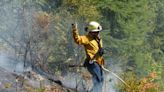 Vegetation fire burns Monday inside Stimpson Family Nature Reserve in Bellingham