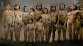 Marco de la Rasilla: "El Sidrón es sin duda la mina de los Neandertales"