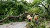 Van Zandt County commissioner killed in ‘tragic accident,’ tree fell on truck during storm