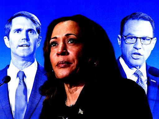 The race is already on to be Kamala Harris' VP