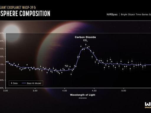 What Can Early Earth Teach Us About the Search for Life?