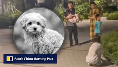 China man kills dog by throwing it to ground after chasing scares granddaughter