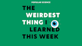 Live from New York: 'The Weirdest Thing' podcast (in person!)