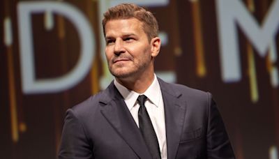 David Boreanaz Is Ready to Give His Body a Rest After SEAL Team Series Finale: 'I Had 4 MRIs in 4 Months' (Exclusive)