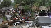 Massive tree falls across busy road in Malaysian capital, killing one man, damaging cars