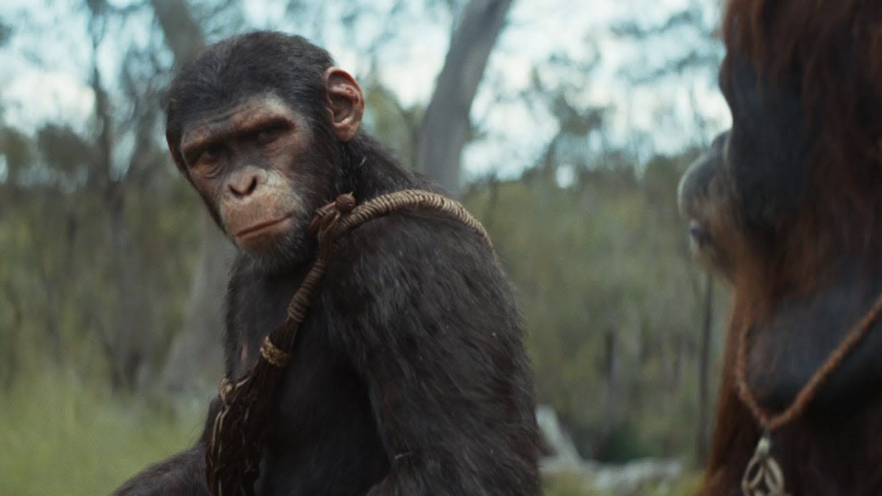 Kingdom of the Planet of the Apes: Exclusive Deleted Scene - IGN