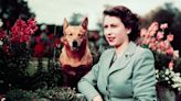 How Corgis became forever associated with the Queen