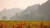 Famous wineries evacuated as wildfires ‘mapped at 570 acres’ seize Napa valley