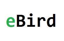 eBird