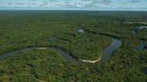 Unrecognizable aerial before-and-after photos of major river sound ‘global alarm bell’: ‘This is collective poisoning’