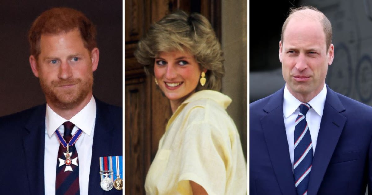 Inside Prince Harry, Prince William's Drama Over Princess Diana