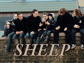 Sheep