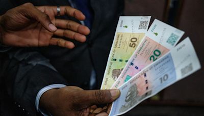 Zimbabwe Plans Rules to Enforce Sole Use of ZiG Exchange Rate