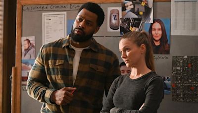 ... NBC, I Now Know What I Want From Chicago P.D. Following Tracy Spiridakos' Departure